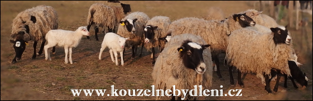 Velikonoce nacházejí základ v pohanských oslavách jara.
